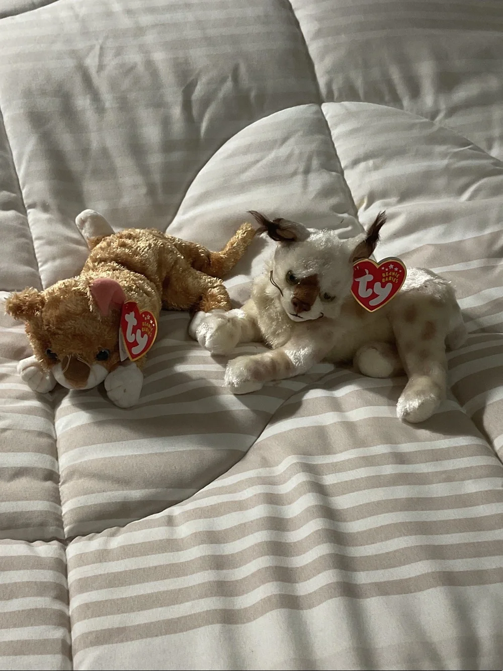 Ty Cream & Light Brown Small Plush Cats Duo 2001